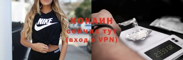 apvp Богородск