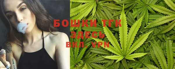 мяу мяу мука Белокуриха