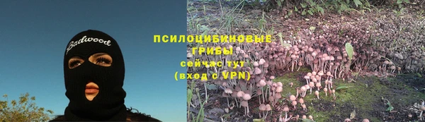 бошки Беломорск